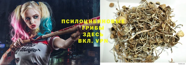 амф Алексеевка