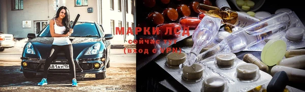 прущие грибы Алзамай