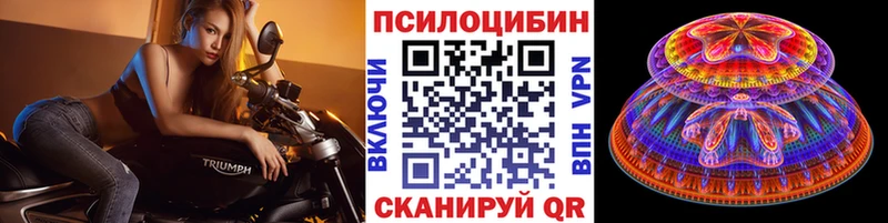 Псилоцибиновые грибы MAGIC MUSHROOMS это клад Михайловка